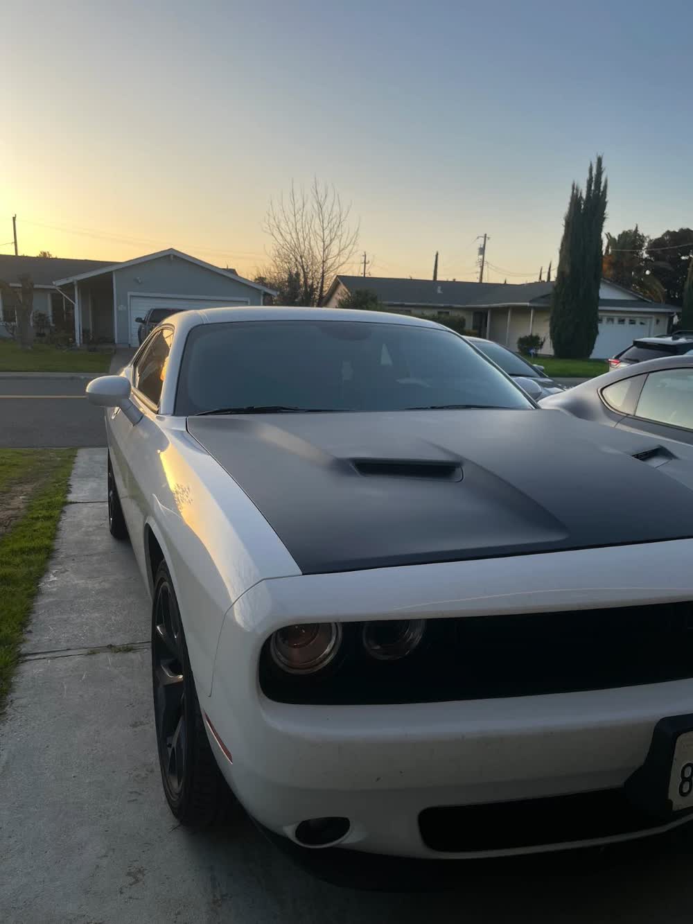 White Dodge Challenger with a matte black hood wrap